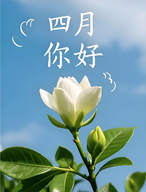 微信图片_20260401135059_3_6.png